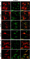 Fig. 4