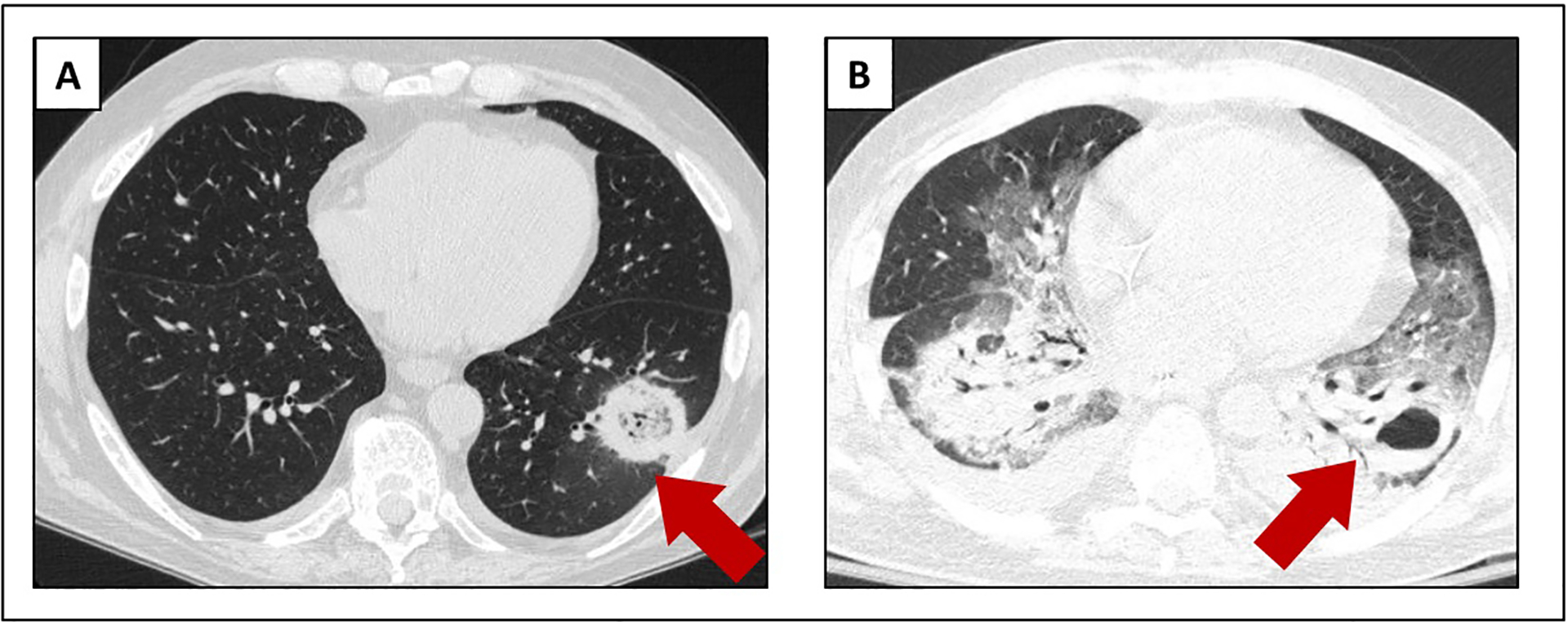 Figure 6: