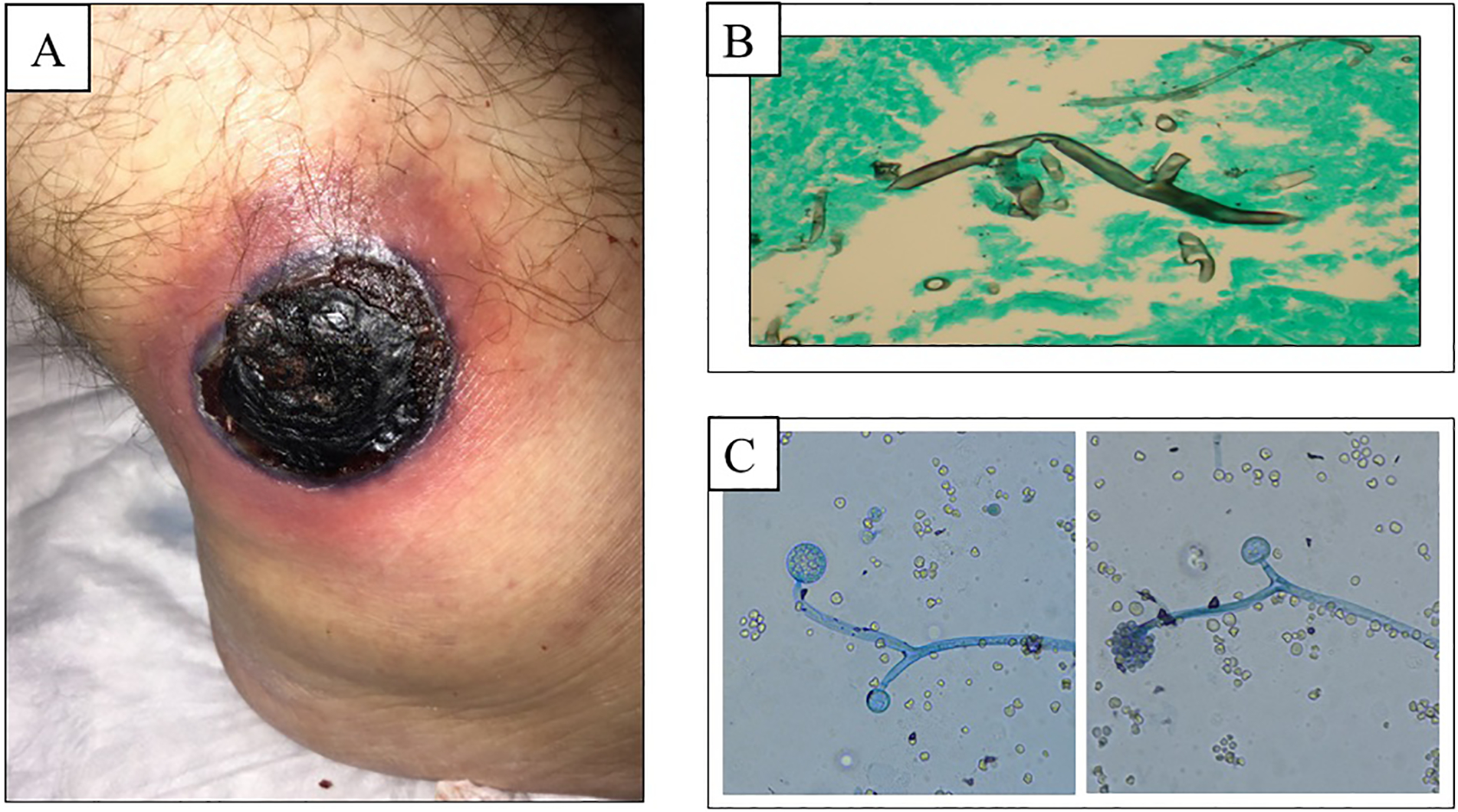 Figure 3: