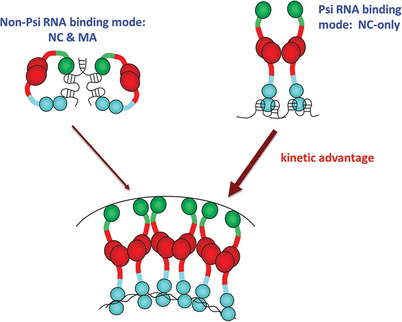 FIGURE 5.