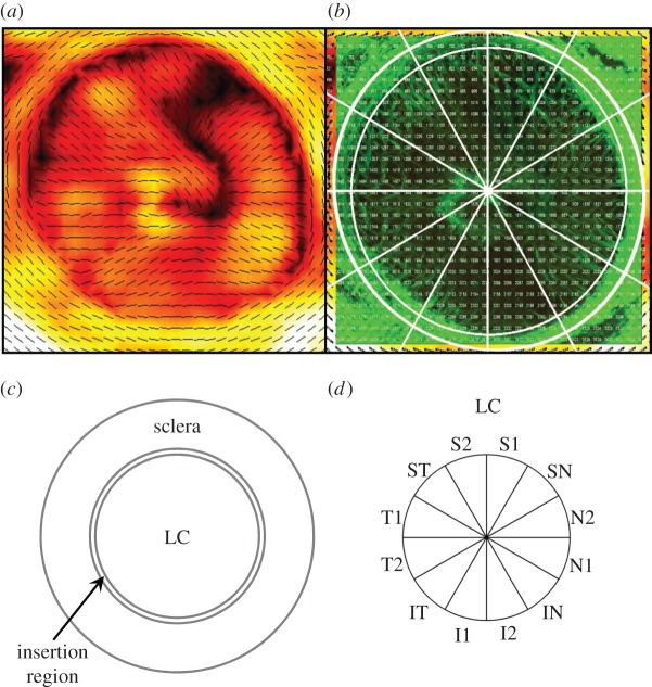 Figure 1.