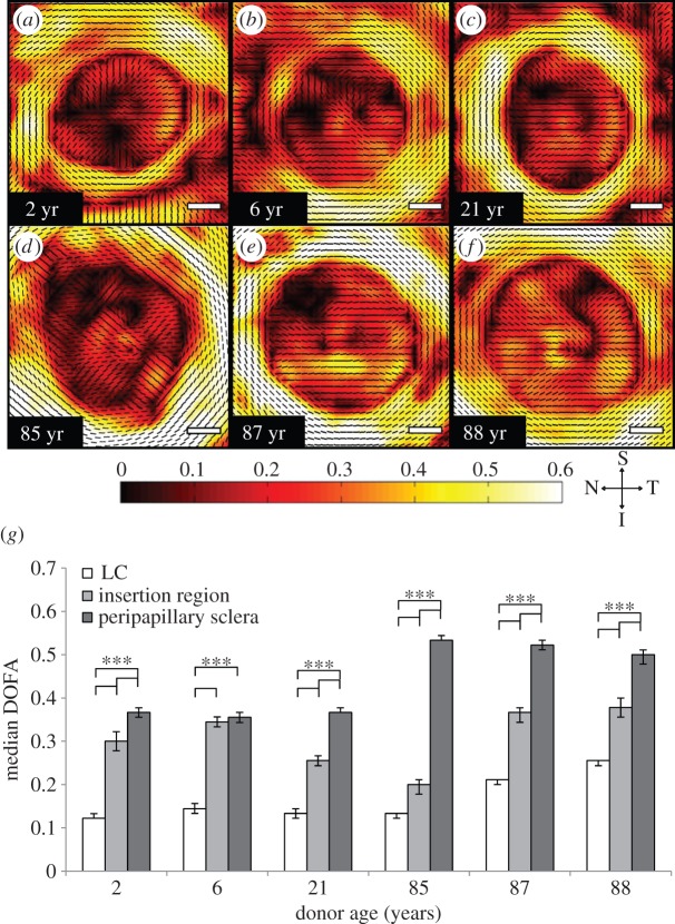 Figure 3.