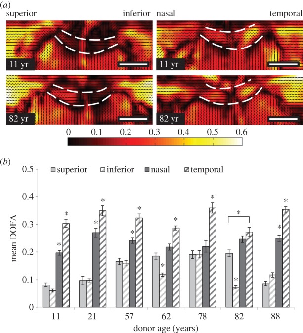 Figure 4.