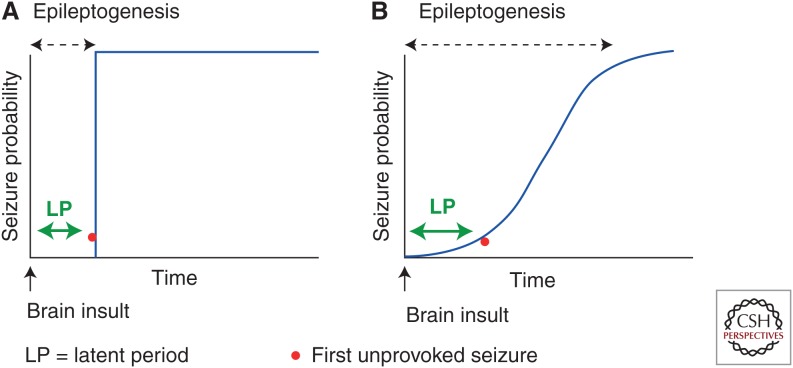 Epileptogenesis - PMC