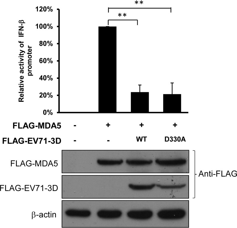 FIG 8