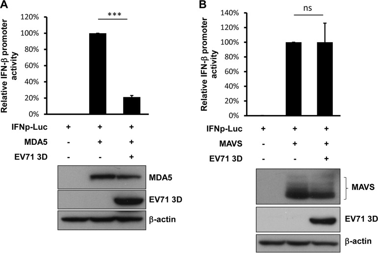 FIG 1