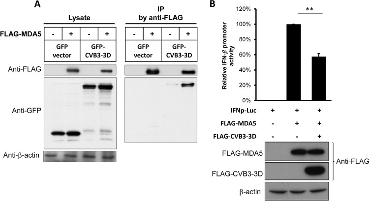 FIG 10