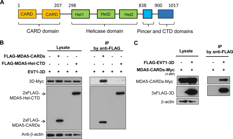 FIG 4