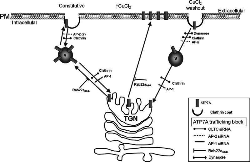 FIGURE 9: