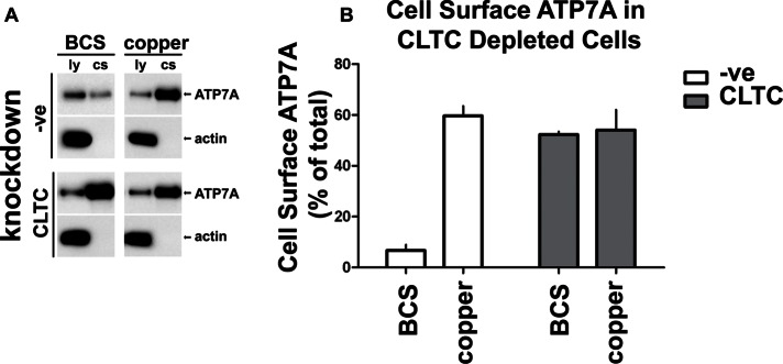 FIGURE 3: