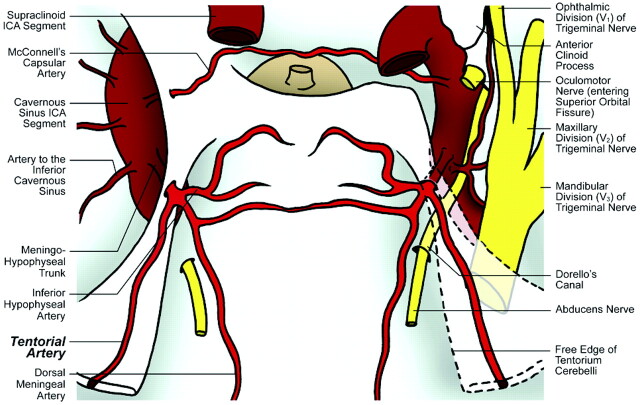 Fig 1.