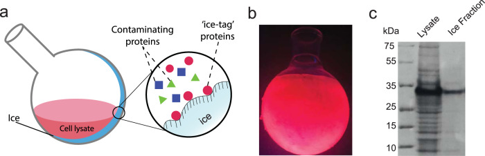 Fig. 9