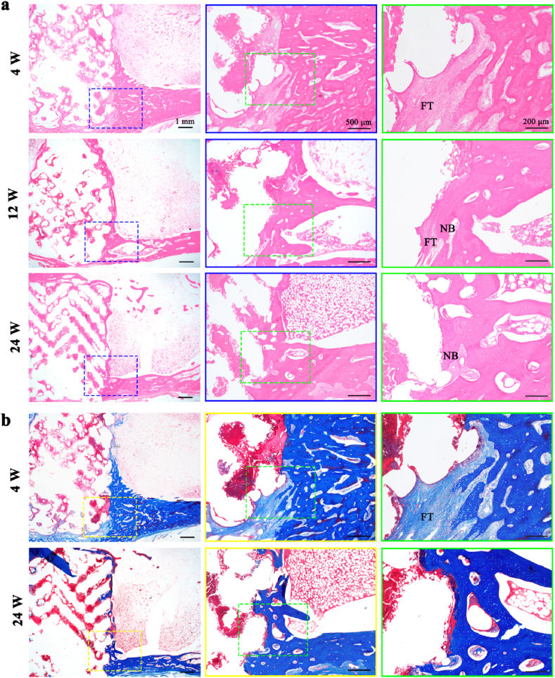 Fig. 8