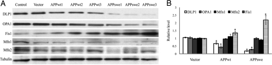 Fig. 3.