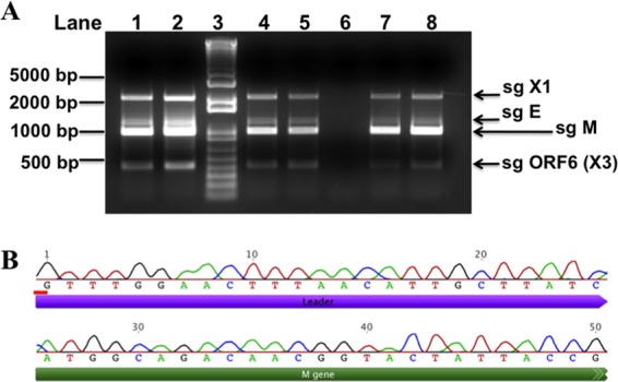 Fig 8