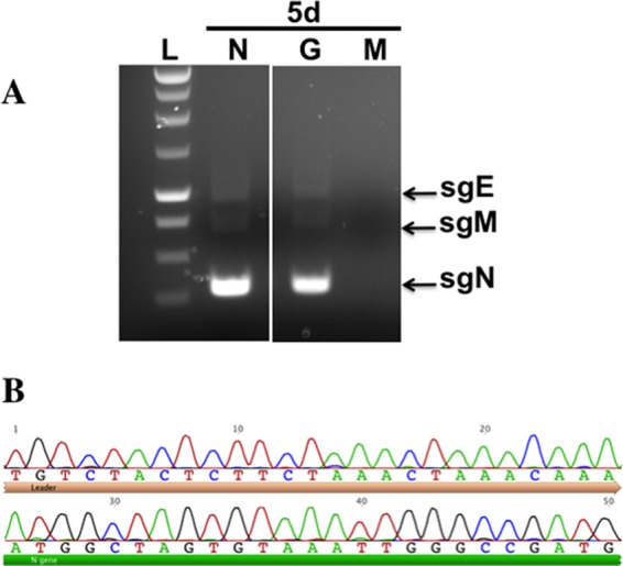 Fig 5