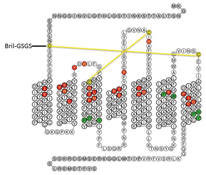 Extended Data Figure 1