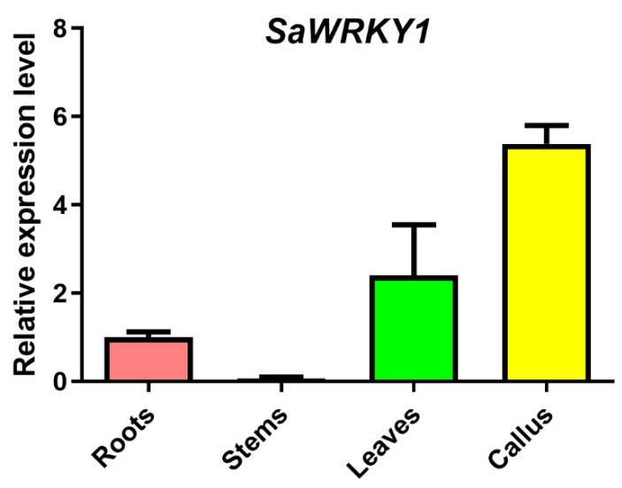 Figure 6