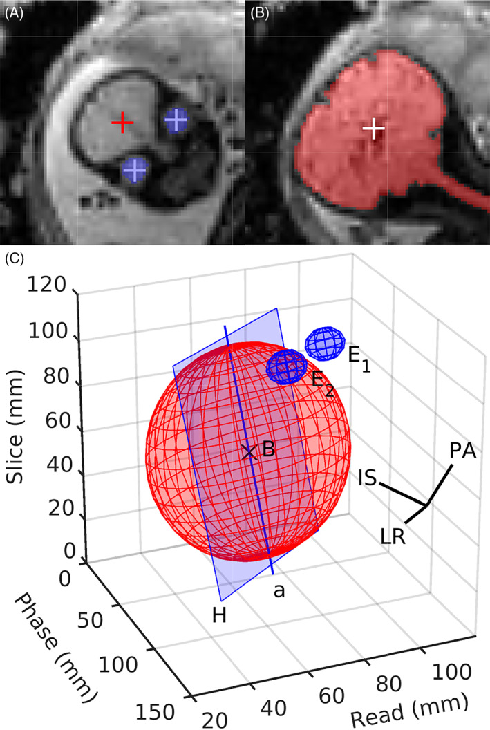 FIGURE 6