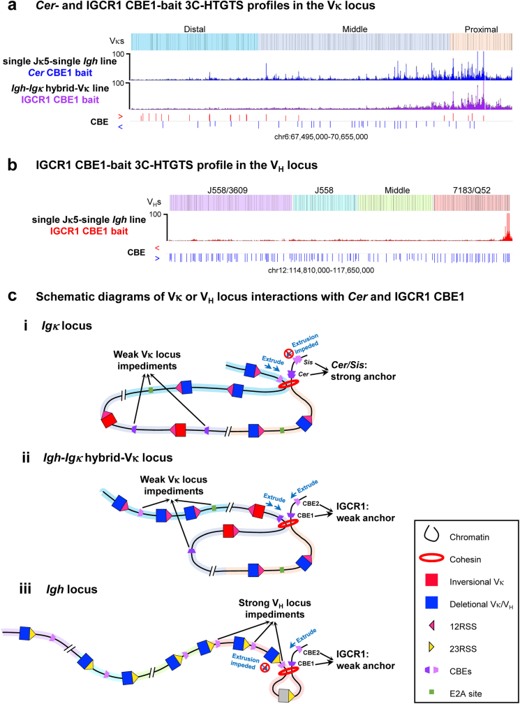 Extended Data Fig. 7