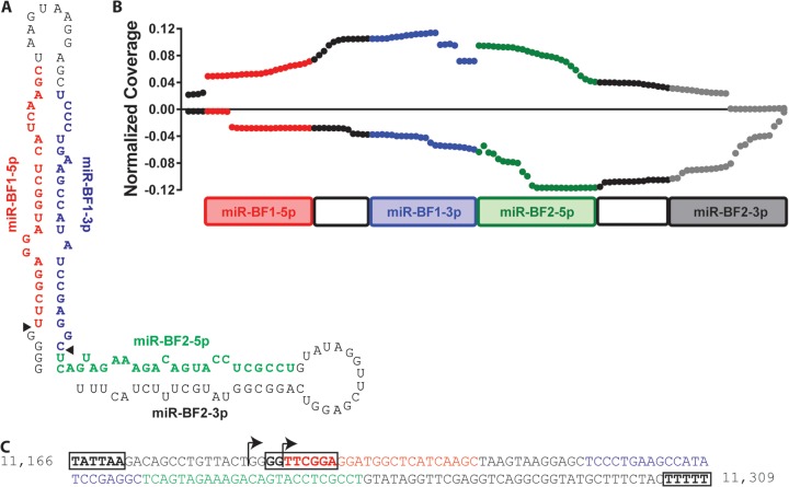 FIG 3