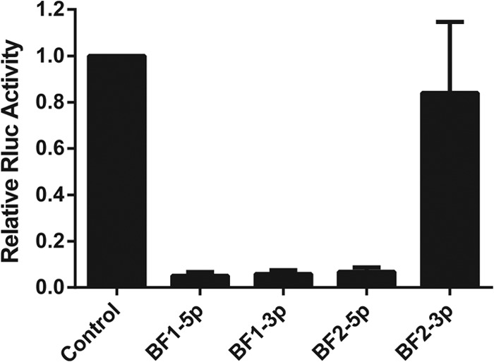 FIG 6