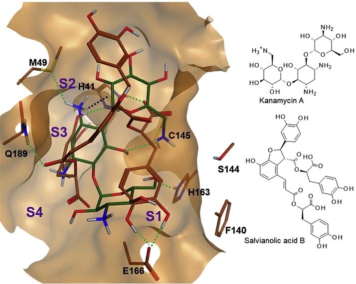 Fig. 3