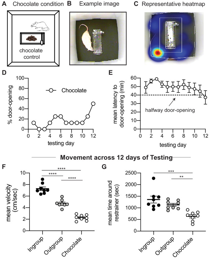 Figure 2—figure supplement 6.