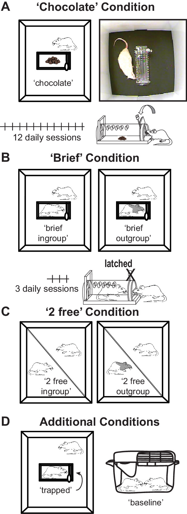 Figure 2—figure supplement 2.