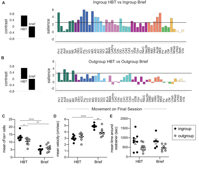 Figure 2—figure supplement 4.