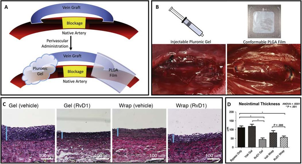 Figure 1: