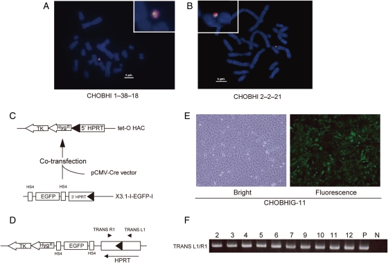 Figure 3