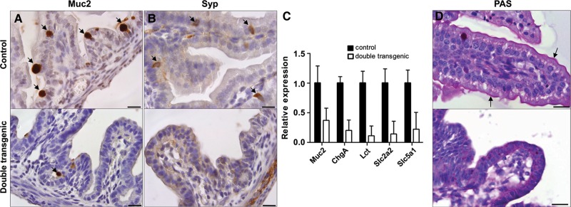 Figure 2