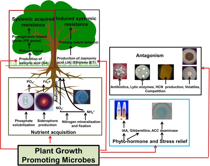 FIGURE 3