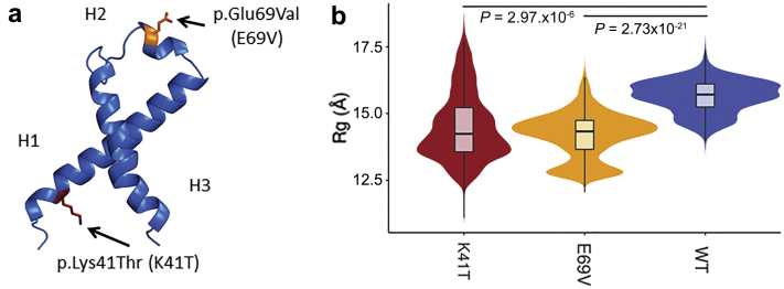 Figure 4