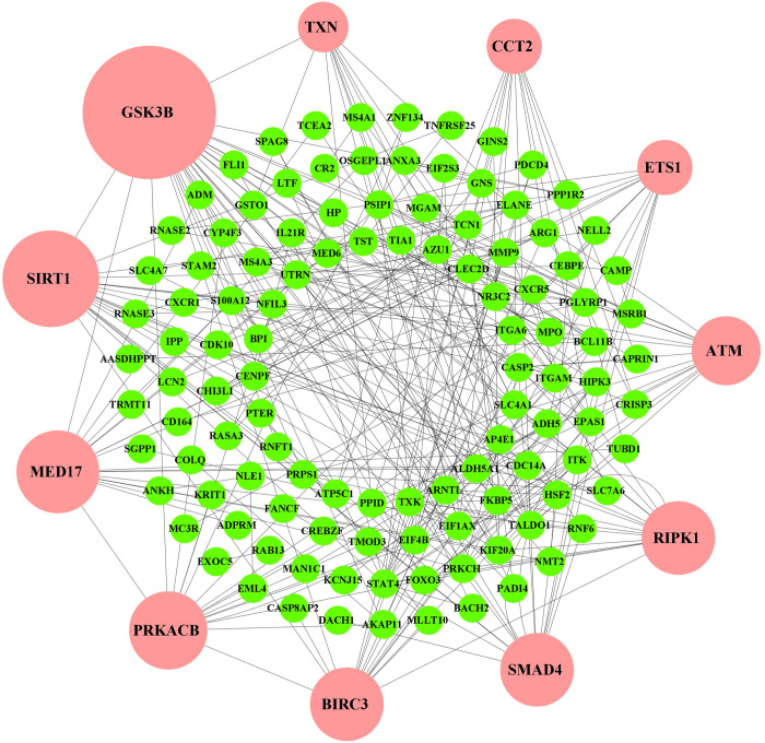 Fig 3