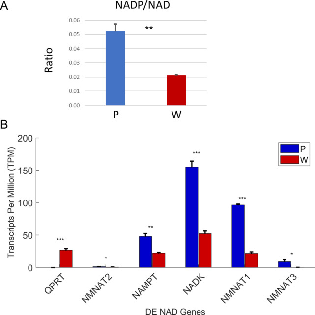 Figure 5—figure supplement 1.