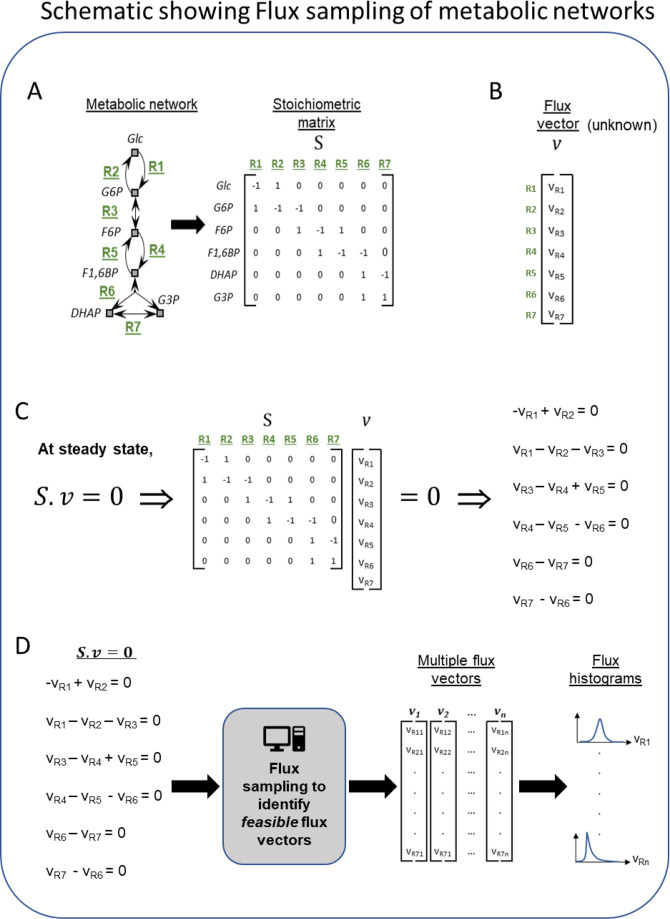 Figure 3—figure supplement 1.