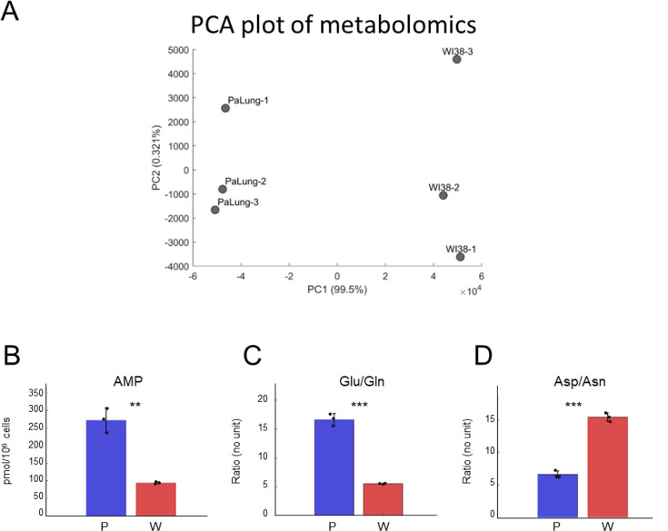 Figure 3—figure supplement 2.