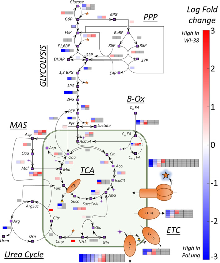 Figure 1—figure supplement 2.