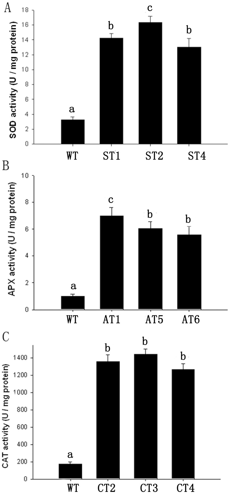 Figure 4