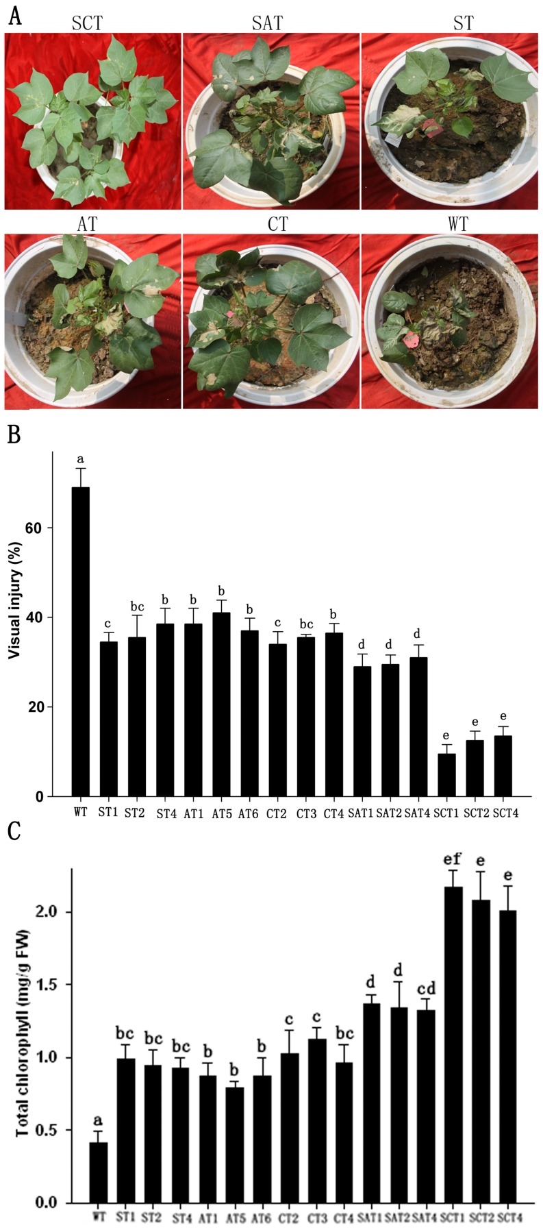 Figure 6