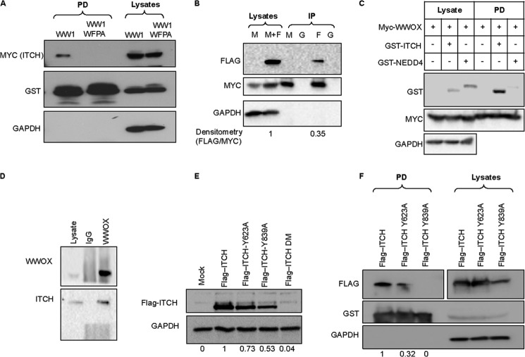 FIGURE 4.