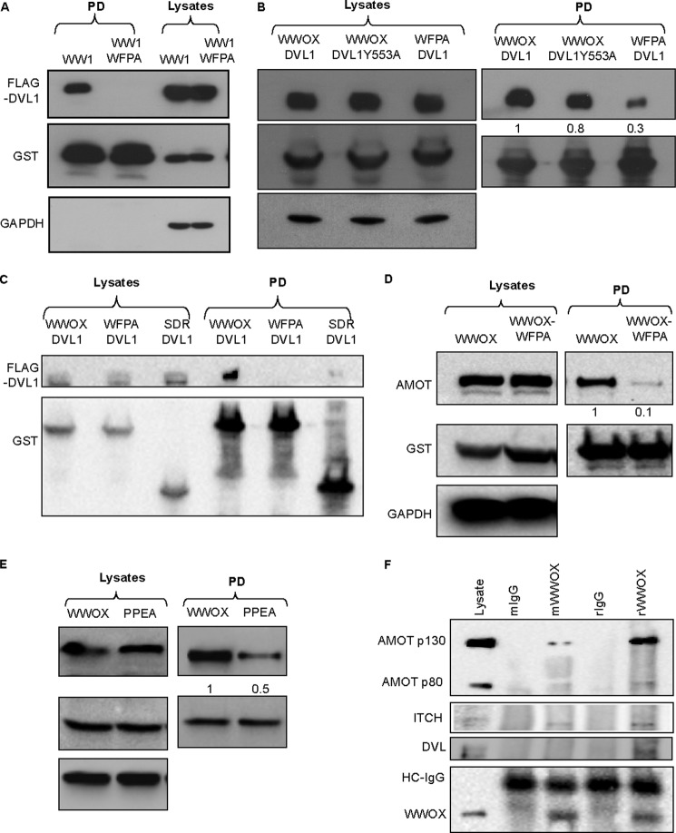 FIGURE 3.