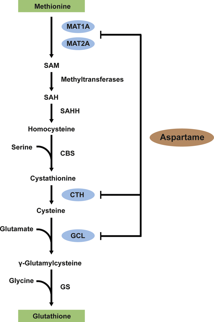 Fig. 7.