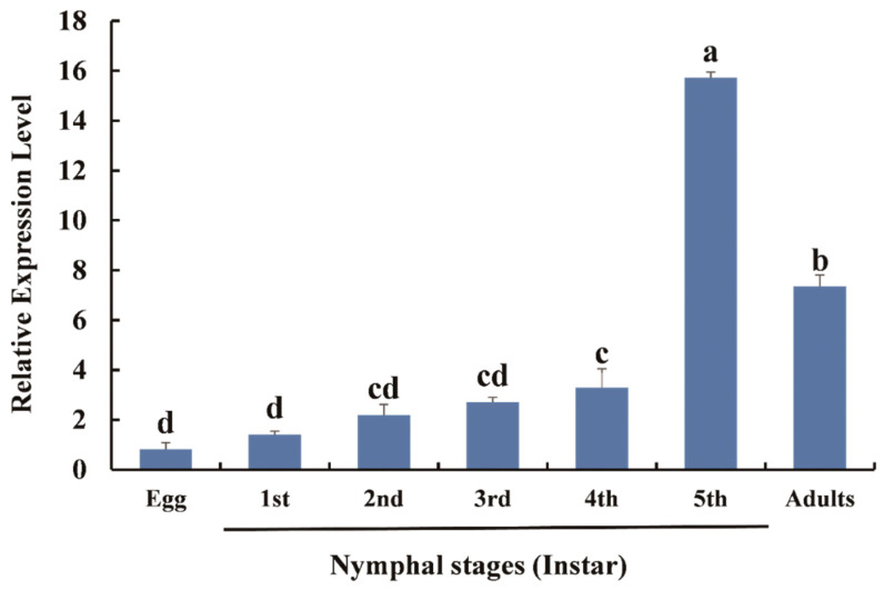 Figure 4