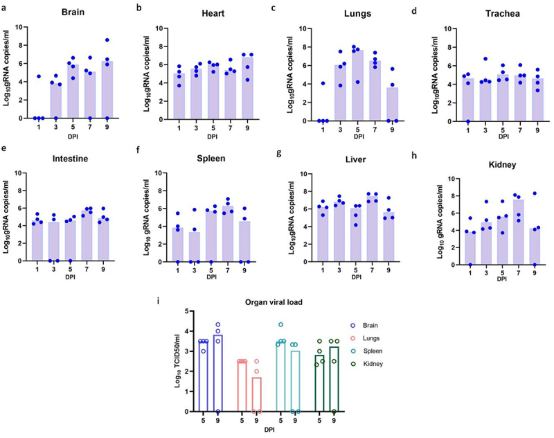 Figure 4.