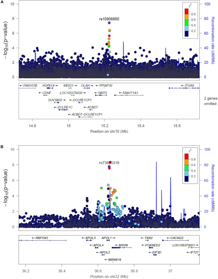 FIGURE 2