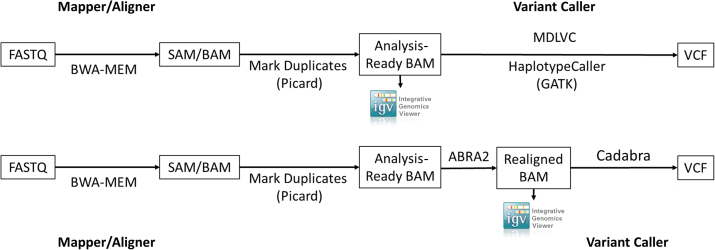 Figure 1