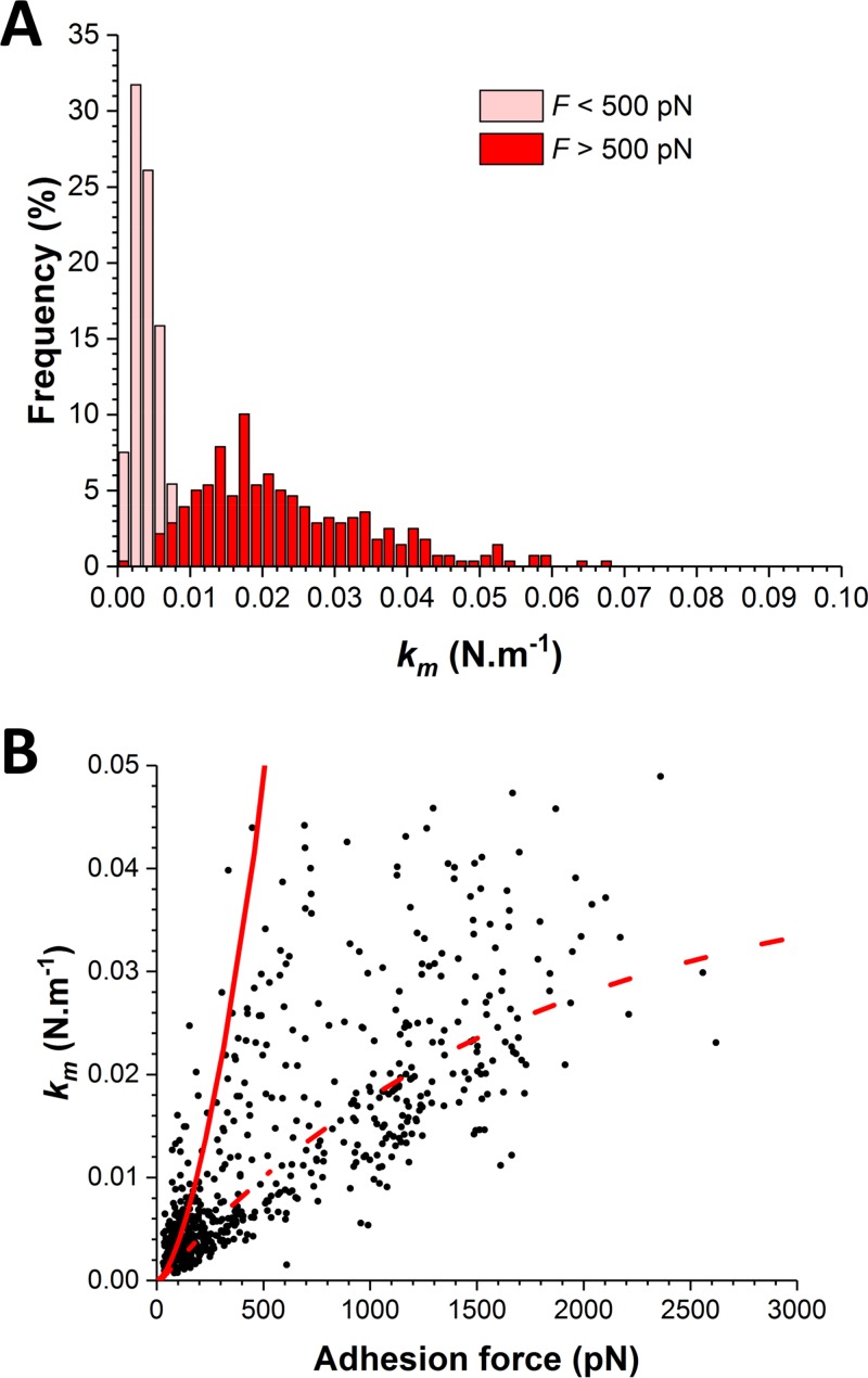 FIG 6 